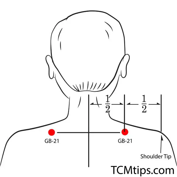 7 Potent Acupressure Points For Upper Back Pain - TCM Tips (2022)