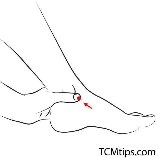 According To TCM, The SP5 Acupuncture Point Is Used To Detox The Spleen ...