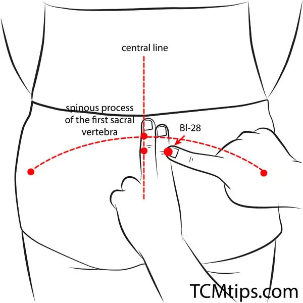 14 Pressure Points In Buttocks Guaranteed To Make Your Daily Life Easier Tcm Tips 4194