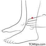 6 Popular Acupressure Points In The Leg That You Must Know! - TCM Tips