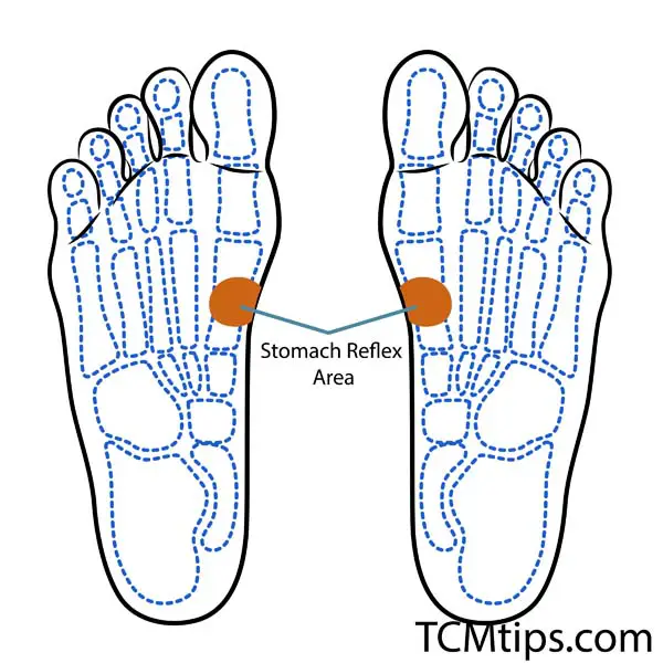 Ren 12 Acupuncture Point Is The Natural Medicine For Your Stomach - TCM ...