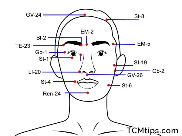 Free Face Acupressure Points Chart: 6 Acupoints That Help To Reduce