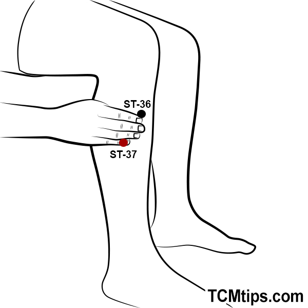 6 Great Acupuncture Points for GERD - Easy TCM Wisdom : Your Path to ...