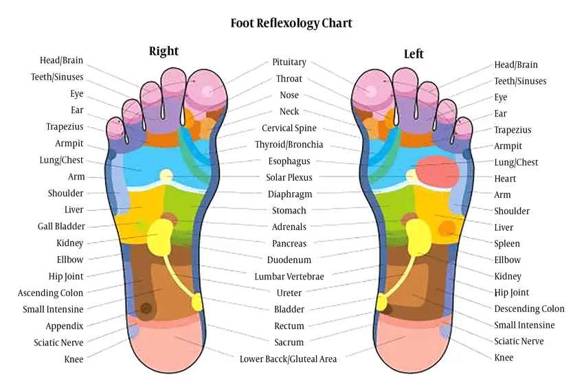 Reflexology For Constipation - Easy TCM Wisdom : Your Path to DIY ...