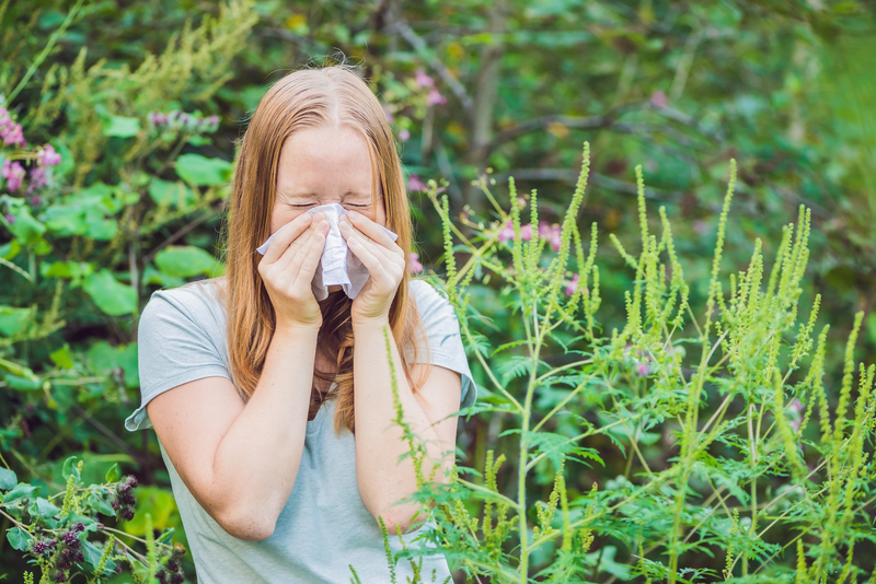 Learn To Use Acupuncture For Hay Fever According To Experts