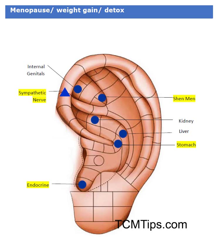 Ear Seed Placement Chart For Menopause Weight Loss Easy Tcm Wisdom Your Path To Diy Health