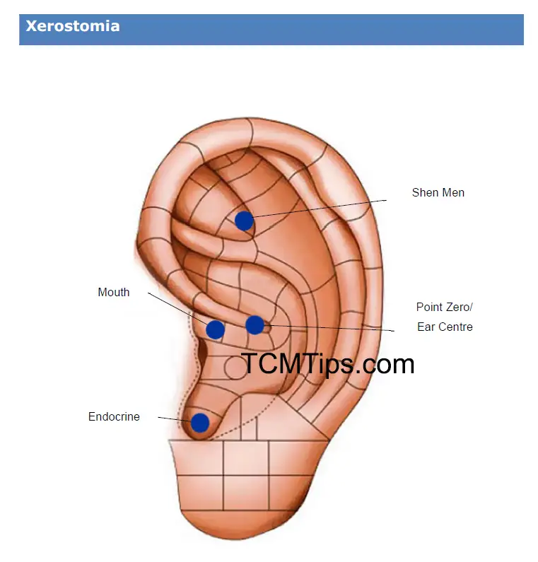 how-to-stimulate-saliva-gland-with-ear-seeds-tcm-tips